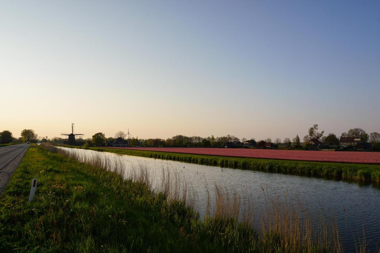 Modern At In Near Amsterdam *